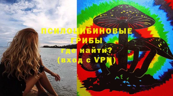 PSILOCYBIN Абаза