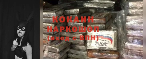 PSILOCYBIN Абаза